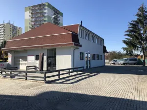 Pronájem bytu 6+kk a větší, Sokolov, Karla Havlíčka Borovského, 220 m2