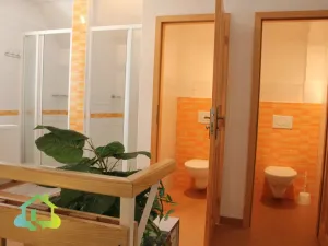 Pronájem rodinného domu, Nižbor - Stradonice, 350 m2