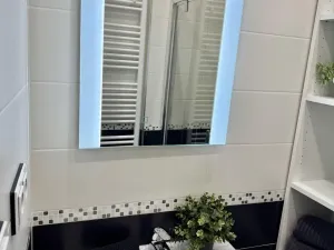 Prodej bytu 2+1, Hradec Králové - Pražské Předměstí, U Koruny, 68 m2