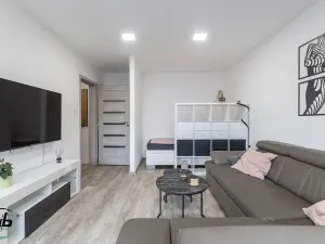Prodej bytu 2+1, Frýdek-Místek, Fibichova, 56 m2