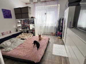 Prodej rodinného domu, Brno - Líšeň, Scheinerova, 150 m2