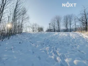 Prodej chaty, Potštát, 26 m2