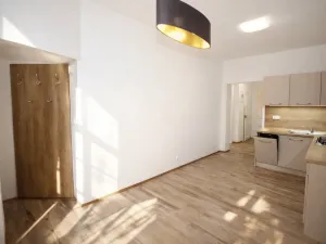 Pronájem bytu 2+kk, Praha - Žižkov, Chelčického, 48 m2