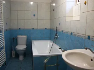 Prodej rodinného domu, Zlatá Olešnice, 130 m2