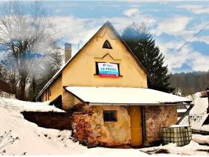 Prodej rodinného domu, Zlatá Olešnice, 130 m2