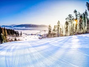 Prodej bytu 2+kk, Červená Voda - Mlýnický Dvůr, 180 m2