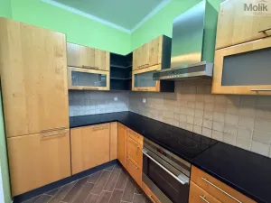 Pronájem bytu 2+1, Teplice, J. V. Sládka, 78 m2