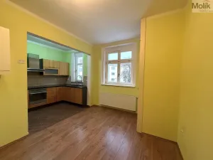 Pronájem bytu 2+1, Teplice, J. V. Sládka, 78 m2