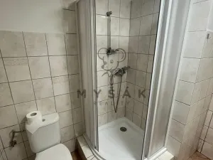 Pronájem bytu 2+kk, Trhové Sviny, Trocnovská, 40 m2