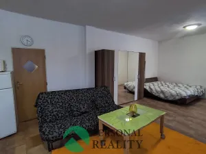 Pronájem bytu 1+kk, Kamenné Zboží, 50 m2