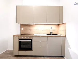 Pronájem bytu 1+1, Příbram - Příbram II, Mariánské údolí, 30 m2