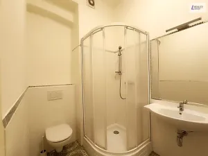 Pronájem bytu 1+1, Příbram - Příbram II, Mariánské údolí, 30 m2