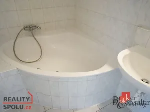 Pronájem bytu 1+kk, Plzeň - Severní Předměstí, Elišky Krásnohorské, 33 m2