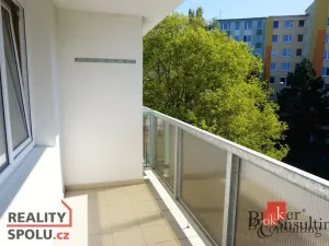 Pronájem bytu 1+kk, Plzeň - Severní Předměstí, Elišky Krásnohorské, 33 m2