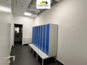 Pronájem výrobních prostor, Cheb, Podhradská, 5000 m2