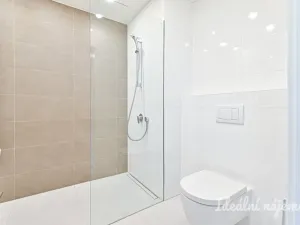 Pronájem bytu 1+kk, Brno, Koliště, 23 m2