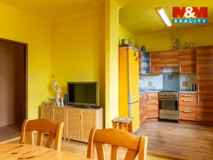 Prodej bytu 3+kk, Opava - Předměstí, Olomoucká, 63 m2