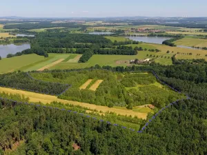 Prodej komerčního pozemku, Čejkovice, 121779 m2