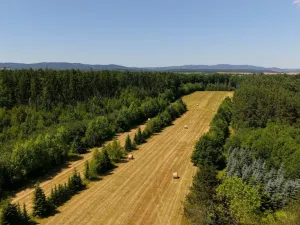 Prodej komerčního pozemku, Čejkovice, 121779 m2