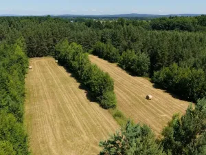 Prodej komerčního pozemku, Čejkovice, 121779 m2
