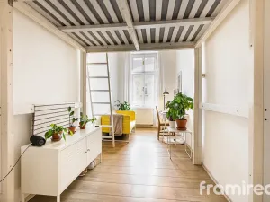 Pronájem bytu 1+kk, Brno, Gorkého, 27 m2