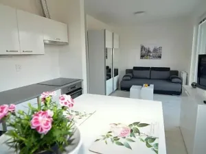 Pronájem bytu 1+kk, Vestec, U Hrubých, 35 m2