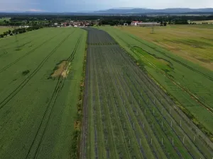 Prodej zemědělského objektu, Čejkovice, 32904 m2
