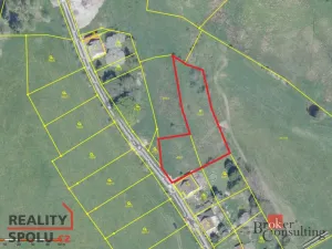 Prodej pozemku pro bydlení, Rotava, 2109 m2