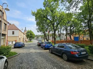 Prodej rodinného domu, Dobrovice, Palackého náměstí, 300 m2
