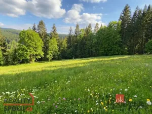 Prodej louky, Železná Ruda, 3475 m2