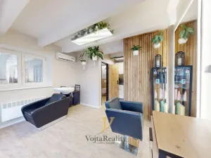 Pronájem obchodního prostoru, Olomouc - Hodolany, Březinova, 21 m2