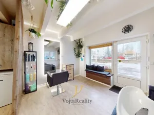 Pronájem obchodního prostoru, Olomouc - Hodolany, Březinova, 21 m2