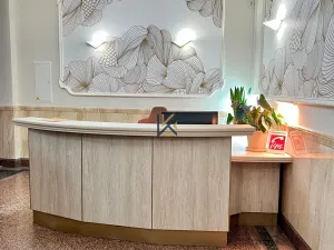 Pronájem obchodního prostoru, Praha, Washingtonova, 203 m2