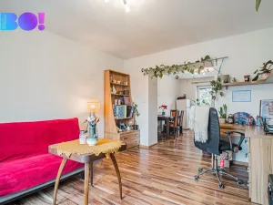 Prodej bytu 2+1, Ostrava, Čujkovova, 47 m2