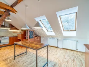 Pronájem bytu 3+kk, Kralupy nad Vltavou, Přemyslova, 97 m2