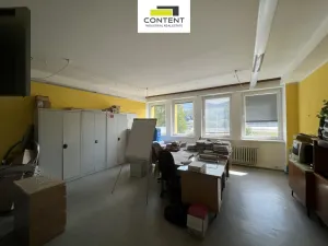 Pronájem výrobních prostor, Ústí nad Labem - Krásné Březno, Přístavní, 1173 m2