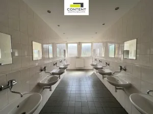 Pronájem výrobních prostor, Ústí nad Labem - Krásné Březno, Přístavní, 1173 m2