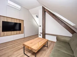 Pronájem bytu 1+kk, Olomouc - Hodolany, Blanická, 55 m2