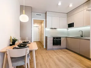 Pronájem bytu 1+kk, Brno, Bystrcká, 30 m2