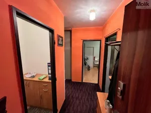 Pronájem bytu 3+1, Most, Lipová, 68 m2