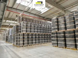 Pronájem skladu, Aš, Skandinávská, 10000 m2