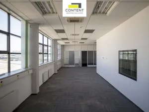 Pronájem výrobních prostor, Brno - Slatina, Tuřanka, 10000 m2