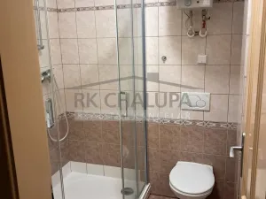 Pronájem bytu 1+kk, České Budějovice - České Budějovice 3, J. Š. Baara, 33 m2