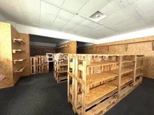 Pronájem skladu, Brno, 1672 m2