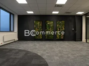 Pronájem kanceláře, Brno, Vídeňská, 935 m2