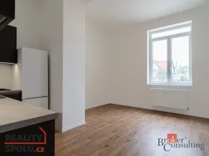 Prodej bytu 1+kk, Ostrava - Přívoz, Palackého, 25 m2
