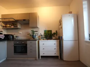 Prodej bytu 1+kk, Starý Plzenec, Herejkova, 37 m2