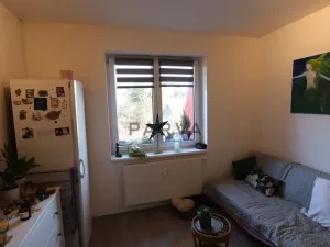 Prodej bytu 1+1, Starý Plzenec, Herejkova, 37 m2