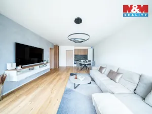 Prodej bytu 1+kk, Brandýs nad Labem-Stará Boleslav, Dřevčická, 65 m2