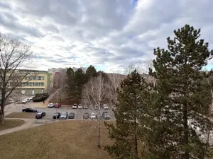 Pronájem bytu 1+1, Brno, Prokofjevova, 34 m2